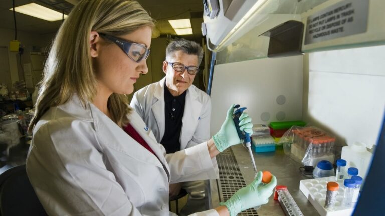 University Research Labs Offering Paid Projects